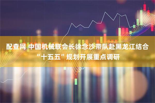 配查网 中国机械联会长徐念沙带队赴黑龙江结合“十五五”规划开展重点调研