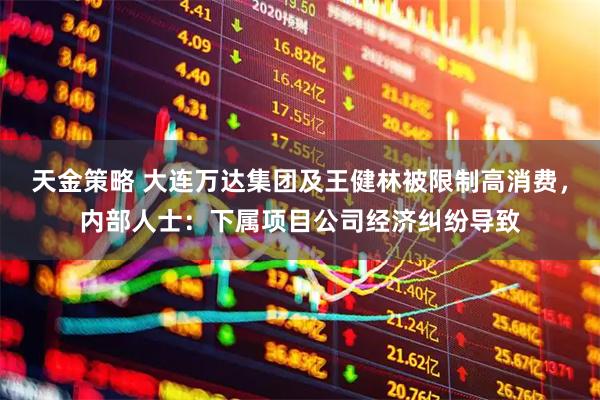 天金策略 大连万达集团及王健林被限制高消费，内部人士：下属项目公司经济纠纷导致