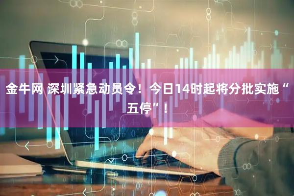 金牛网 深圳紧急动员令！今日14时起将分批实施“五停”！