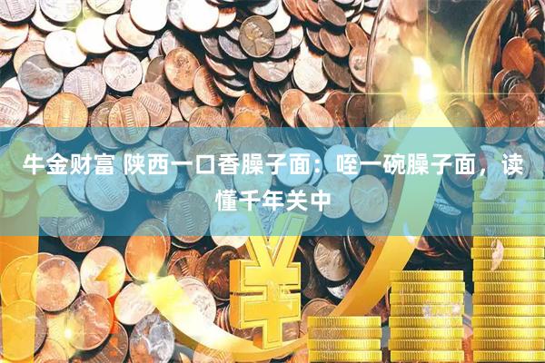 牛金财富 陕西一口香臊子面：咥一碗臊子面，读懂千年关中