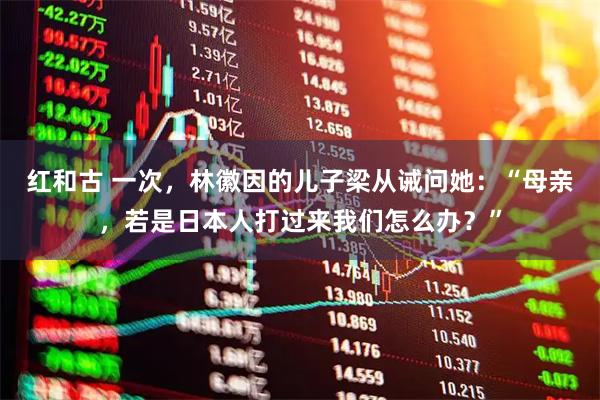 红和古 一次，林徽因的儿子梁从诫问她：“母亲，若是日本人打过来我们怎么办？”