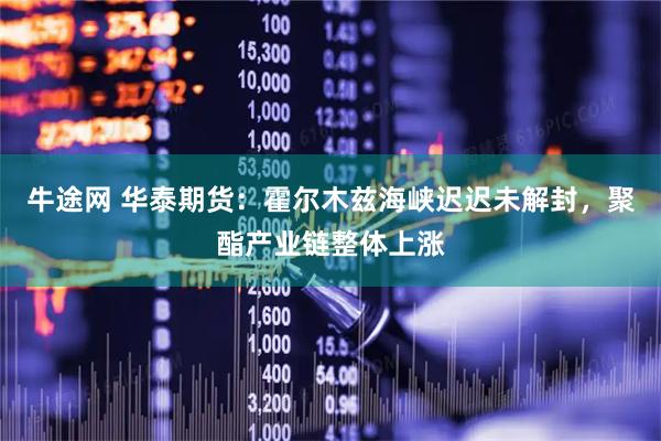 牛途网 华泰期货：霍尔木兹海峡迟迟未解封，聚酯产业链整体上涨
