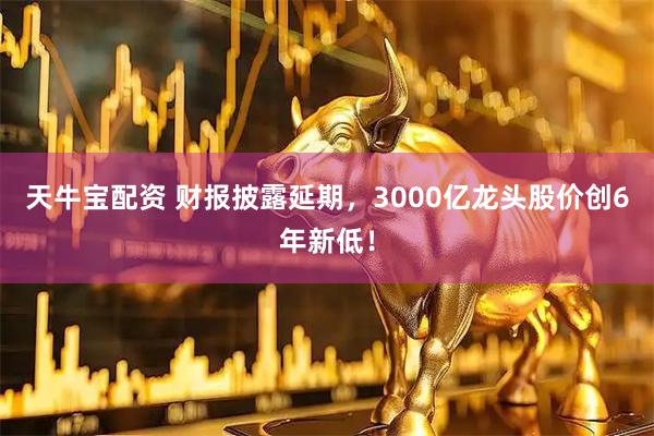 天牛宝配资 财报披露延期，3000亿龙头股价创6年新低！